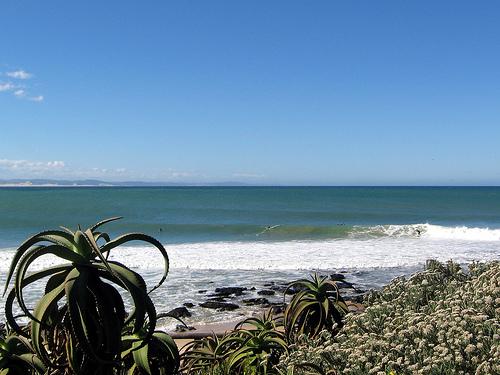 3 Jeffreys Bay South Africa Autors: kjekata Gaidot siltāku laiku