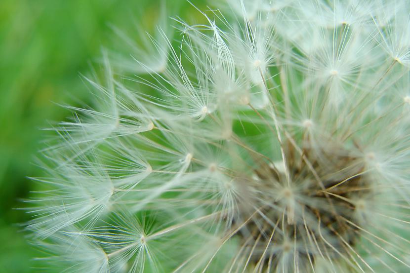 Autors: Egamis Foto...