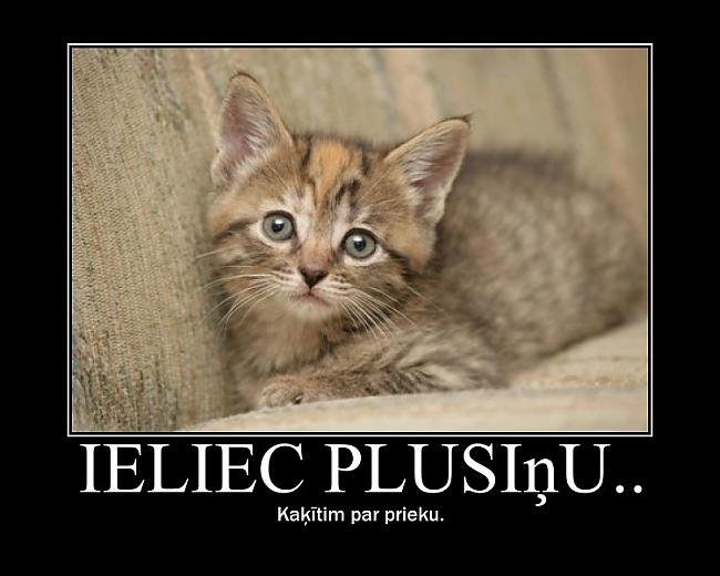  Autors: Saksofona Vīrs Ko tik cilvēki nemeklē :D
