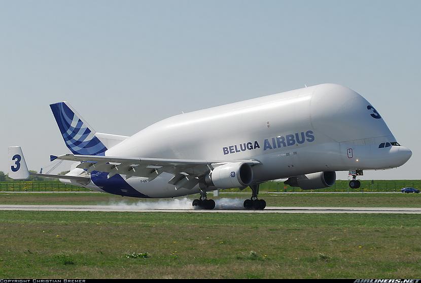 2vietā Airbus Beluga Beluga... Autors: godie 5 lielākās lidmašīnas pasaulē.