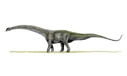 Lielākā dinozaura skelets... Autors: PankyBoy Fakti ar bildēm 2.