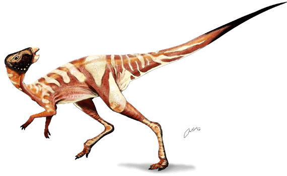 Pats mazākais dinozaurs bija... Autors: filips811 Neparasti fakti 3. daļa - Vēsture & Daba
