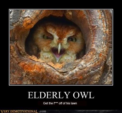  Autors: murkšķis 1st time I got Owled..