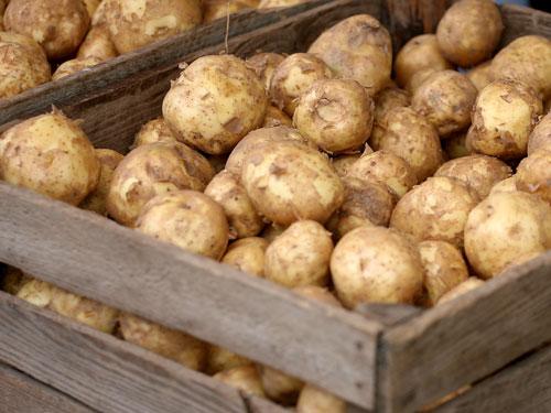 4kg kartupeļiem nedabūsi... Autors: Durrrr van der Kurrr "Gudrākā" pasaka! :D