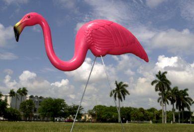 Amerikā plastiskie flamingo ir... Autors: Sprinteris Visai Interesanti Fakti,99% Nedzirdēti