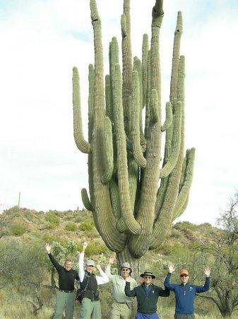  Autors: Sabana Saguaro