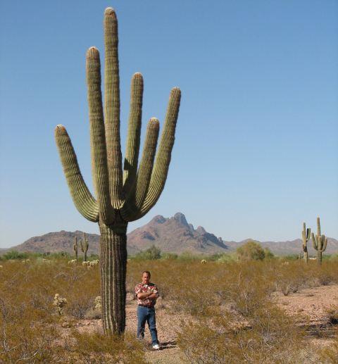  Autors: Sabana Saguaro