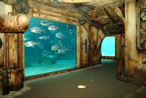 26  Largest Aquarium in Africa... Autors: nauruha Pasaules lielākie akvāriji