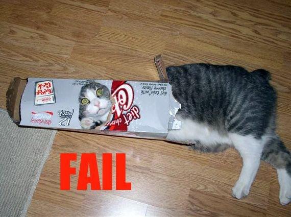  Autors: murmulis13 Cat fail