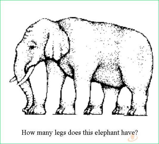 Cik šim zilonim ir kāju Autors: GanGs Apmāni acis