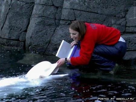  Autors: bee62 Baltais valis sadraudzējies ar ķīniešu zēnu