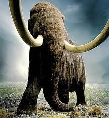  Autors: Deleny Iespējams pēc 4 - 5 gadu uz zemeslodes būs mamuti