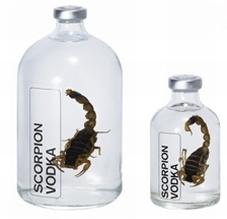 Ja kāds uzlies skorpionam uz... Autors: linduce10 Interesanti fakti