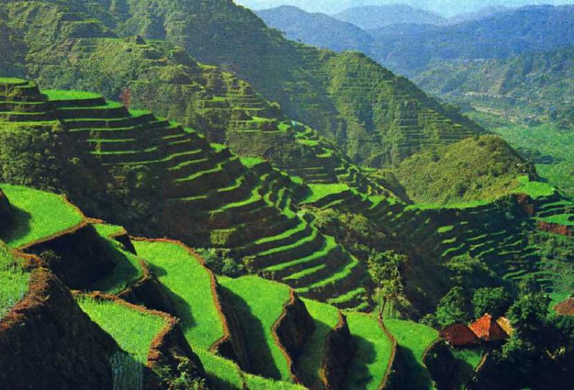 The rice terrace fields of... Autors: jenssy Pasaules skaistākās vietas