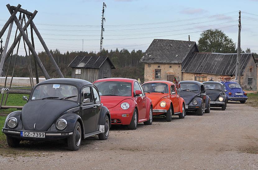  Autors: tpaipalsfoto VW Beetle