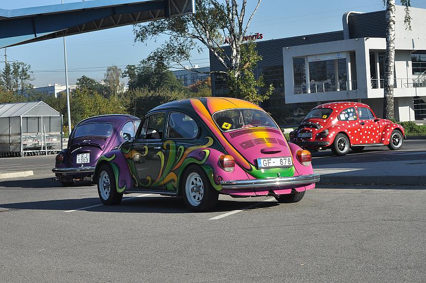  Autors: tpaipalsfoto VW Beetle