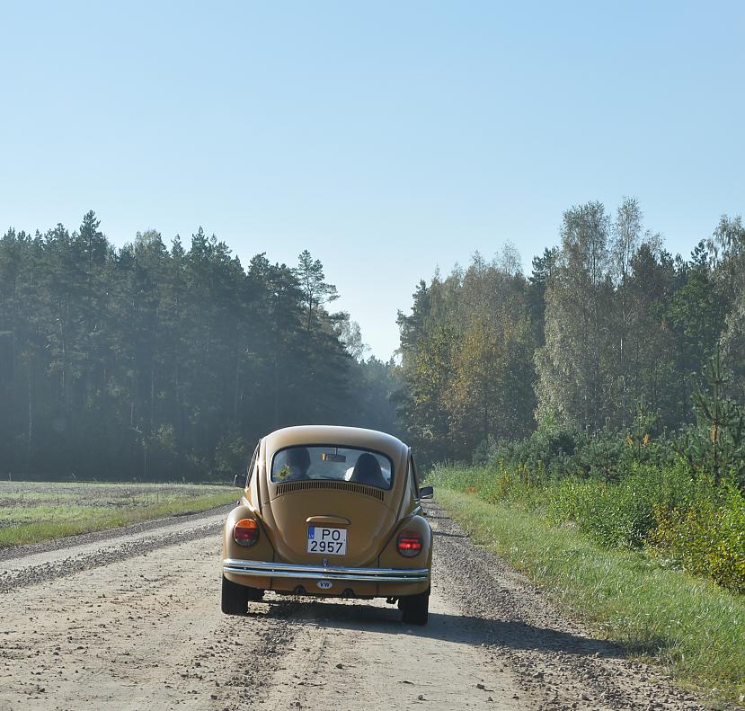  Autors: tpaipalsfoto VW Beetle