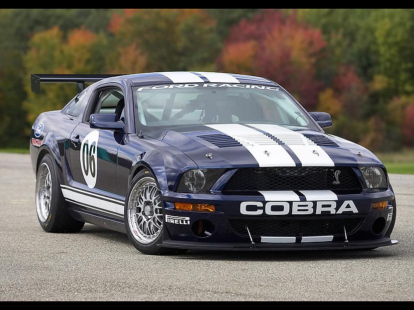   Autors: Fosilija Ford Mustang<3