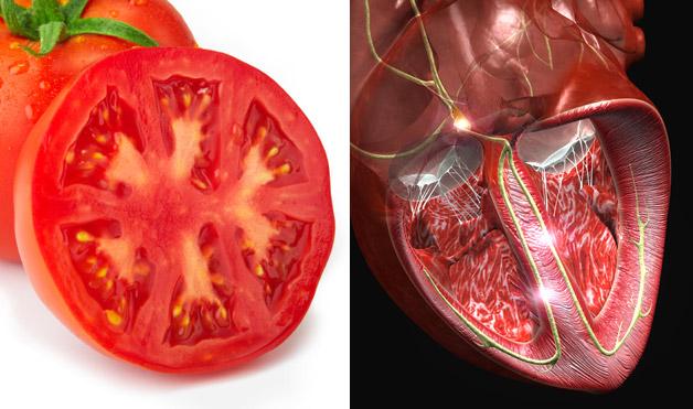 Tomāts un Sirds Autors: Ļusajs Sakritība?