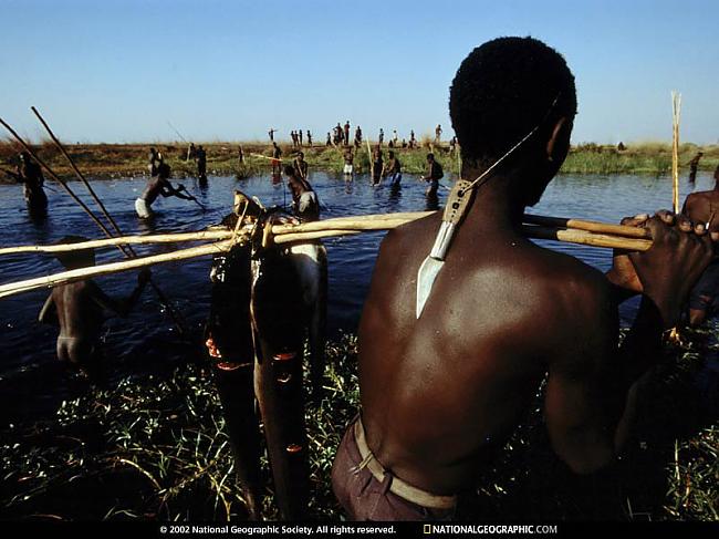 Lodzi cilts dzīvo tuvu Zambezi... Autors: nyann Fakti par Āfrikas tautām