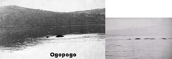 Ogopogo Kanāda Ogopogo ir... Autors: Fosilija Slavenākie ezeru briesmoņi