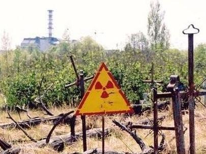  Autors: kuuuulio Černobiļas augi paši sevi nodrošina. [PACELTS]