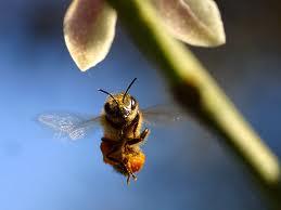 Katru gadu no bišu kodumiem... Autors: Danīīīīīī Faktiņi. ;)