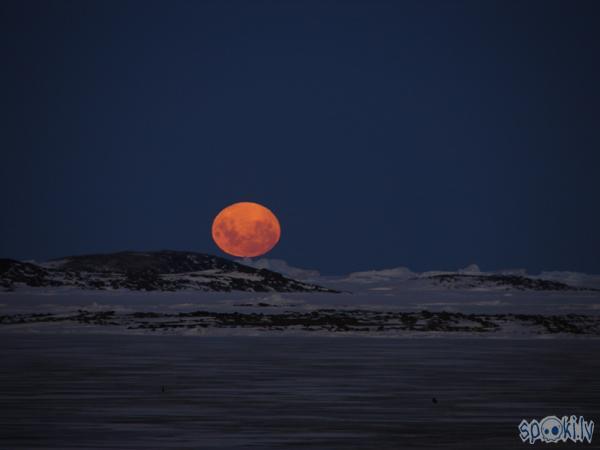 Mēness virs Antarktikas Autors: Murmuls Mēness