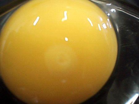  Autors: Optimists NaCl Kā no olas rodas cālis???