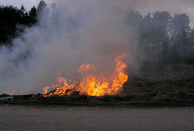 Bet nereti sanāk šādi ar mūsu... Autors: Fosilija Sērkociņu raksti 2!