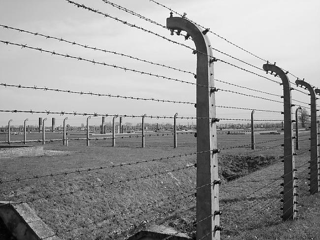 Birkenau sacelšanās Tika... Autors: Zilais Kamielis Auschwitz, bēgšanas un izdzīvojušie.