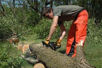 1 Lumberjack... Autors: unna123 TOP 10 sliktākie darbi Amerikā