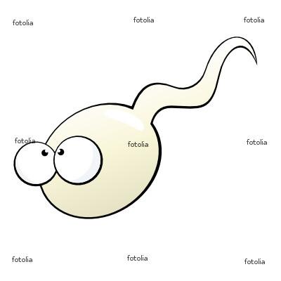 Viena nu nemaz ne zinātniska... Autors: Knēvelis 10 Fakti par spermotozīdiem