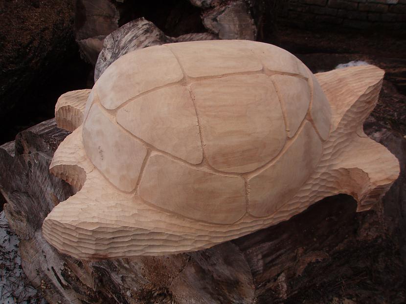 koka bruņurupucis dārzam Autors: Aigars Rūrāns Mani un brāļa darbi