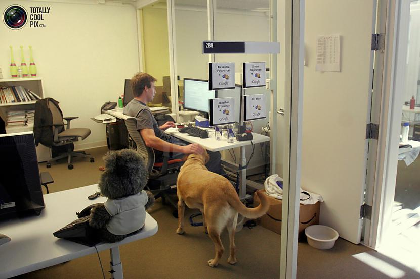 Google darbinieks izbauda... Autors: DibenRausis More Google Office HQ pics