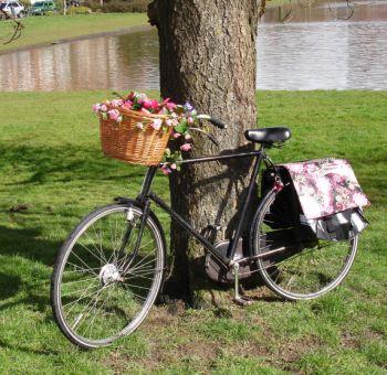 Grozinjs ar ziediem uz... Autors: littletallbaby Ritenjbraukshana.Cyclying style. Biker style.