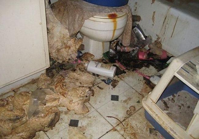 Autors: ČOPERS Domā ka tev ir netīra māja!?
