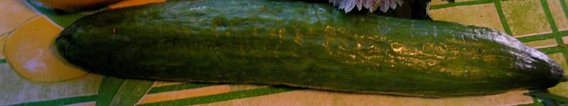 Paņemsim arī gurķi Autors: miesniece Nātru salāti