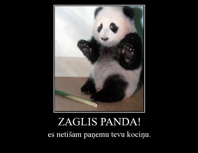  Autors: NsiGLife zaglis panda!