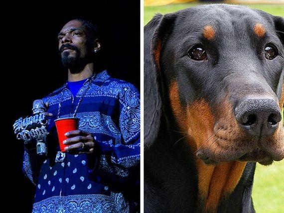 Dziedātājs Snoop Dog ... Autors: burnenergy Slavenību līdzinieki