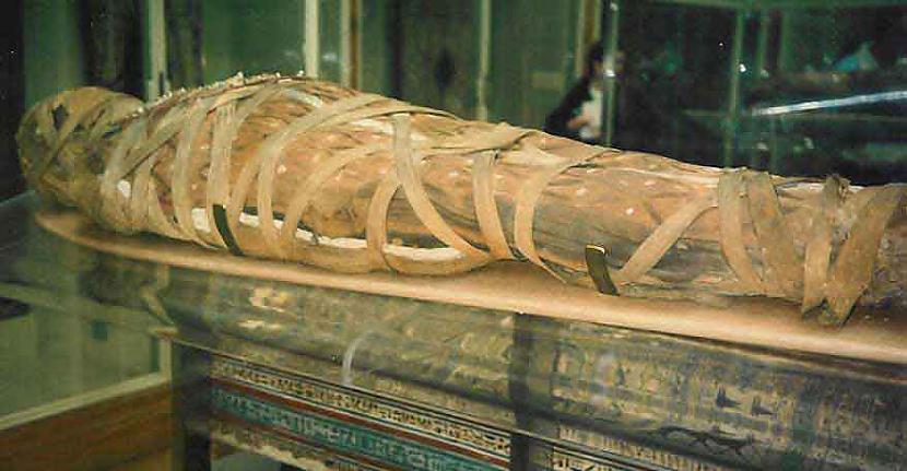 19 gs Ēģiptē bija tik daudz... Autors: Pirdeejkaamis Fakti saistībā ar nāvi.