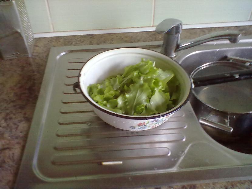 Pa to laiku nomazgājam salātus Autors: RekSis ibeee Uztaisīsim garšīgas brokastis