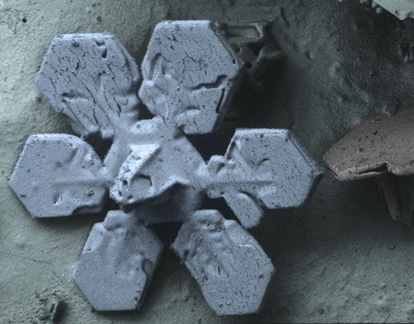 Sniegpārsliņa Autors: MILFS "2" Aplūkojot pasauli ar mikroskopu