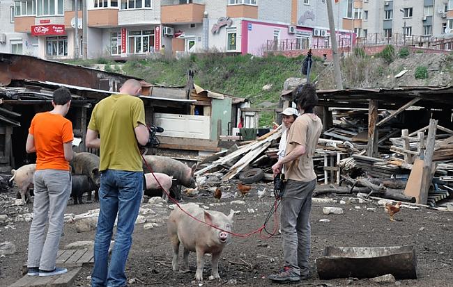 Cūķis nosmeķē kā garšo... Autors: ainiss13 Ukrainas galvaspilsēta???