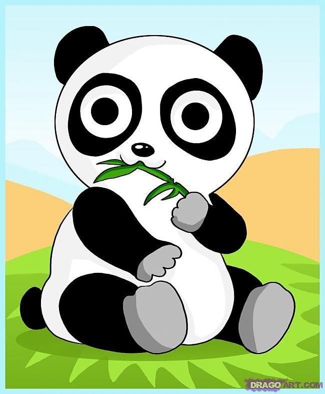 Lielās pandas ķepai ir seši... Autors: skaistā lellīte Fakti par pandām.