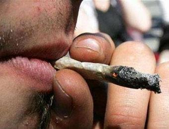 Marihuānas galvenā sastāvdaļa... Autors: wildlion Cik veselīgi ir pīpēt marihuanu?