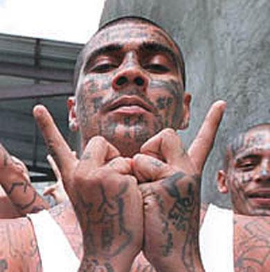 The MS13 gang aka Mara... Autors: FiLthyMiNded MS-13