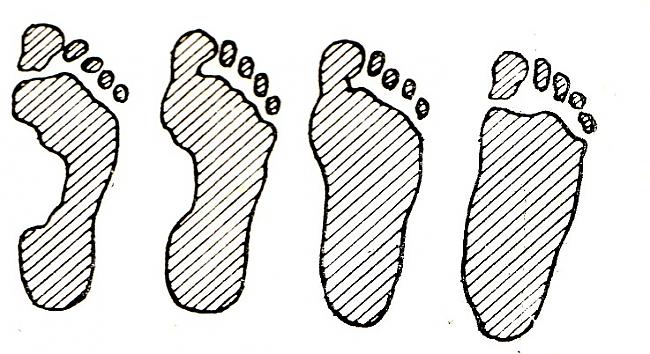 Cilvēka kājas abas kopā... Autors: varenskrauklis Neparasti fakti par cilvēka ķermeni.