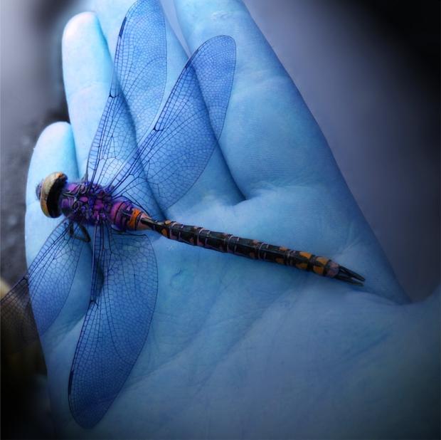 Viena no Eiropas lielākajām un... Autors: Murrr Dragonfly