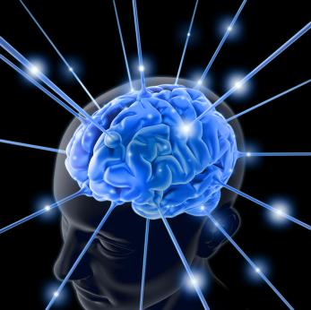 Smadzenes tās vienlaikus spēj... Autors: Fosilija Zinātniski pierādījumi par Dieva eksistenci